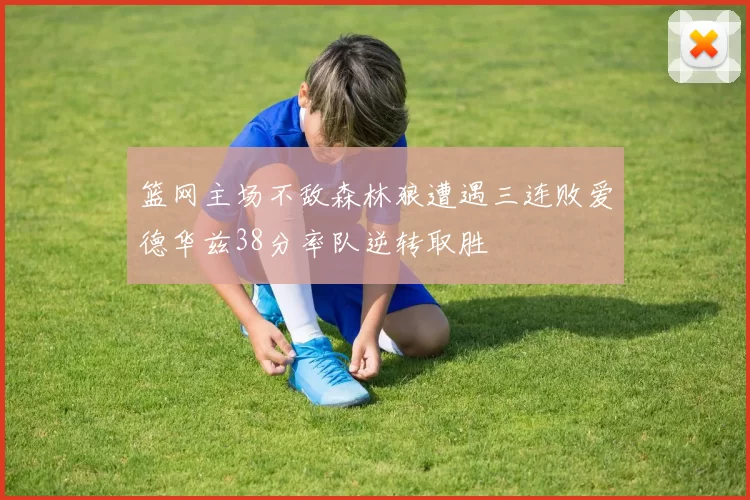 篮网主场不敌森林狼遭遇三连败爱德华兹38分率队逆转取胜