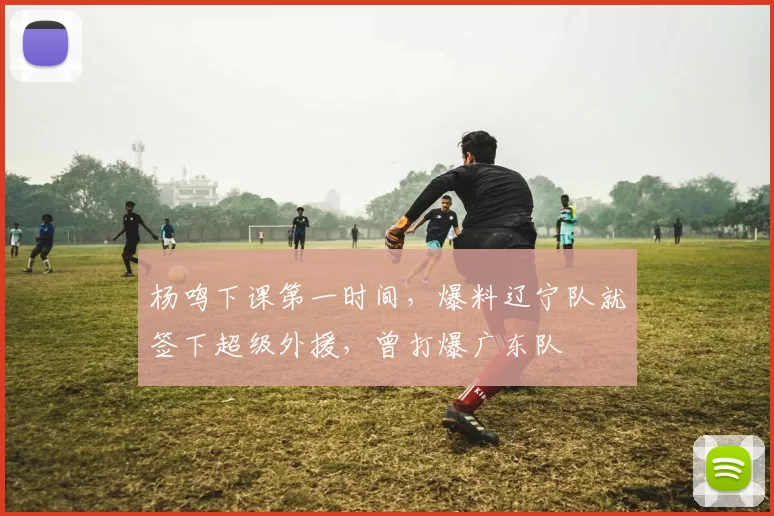 杨鸣下课第一时间，爆料辽宁队就签下超级外援，曾打爆广东队