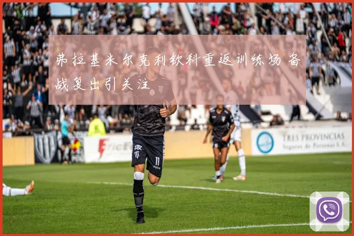 弗拉基米尔克利钦科重返训练场 备战复出引关注