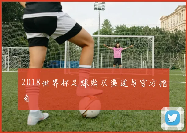 2018世界杯足球购买渠道与官方指南