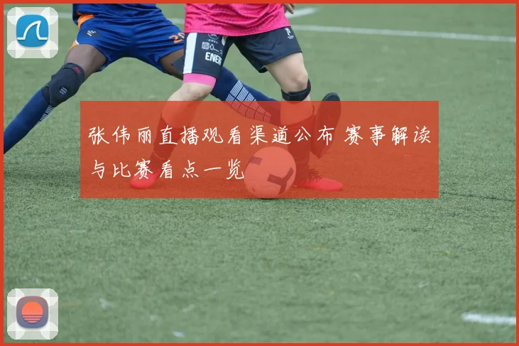 张伟丽直播观看渠道公布 赛事解读与比赛看点一览