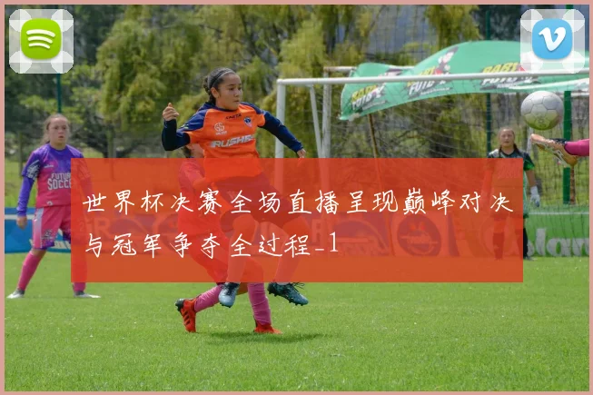世界杯决赛全场直播呈现巅峰对决与冠军争夺全过程_1