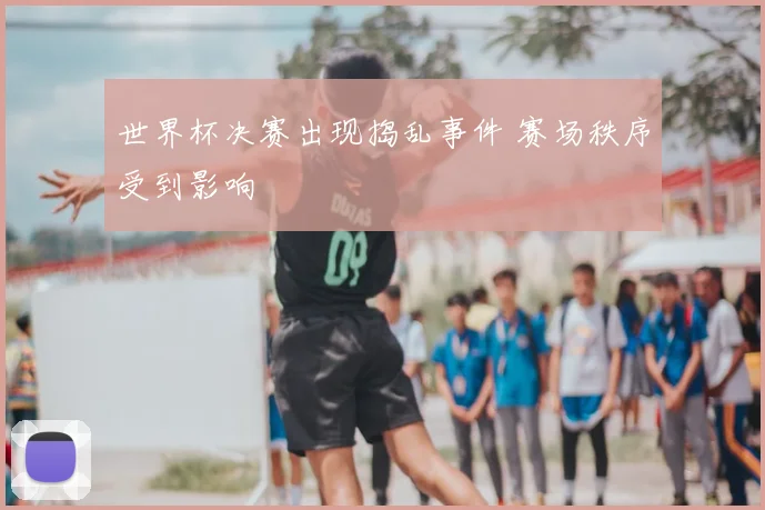 世界杯决赛出现捣乱事件 赛场秩序受到影响