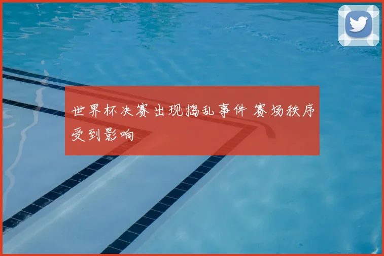 世界杯决赛出现捣乱事件 赛场秩序受到影响