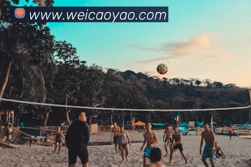 App Interface Preview